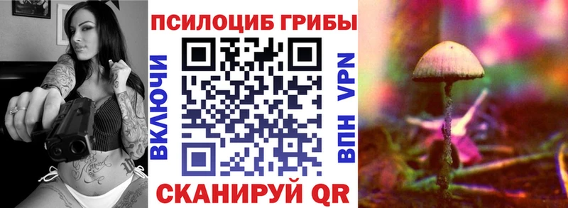 как найти наркотики  Гусиноозёрск  ссылка на мегу ССЫЛКА  Псилоцибиновые грибы ЛСД 